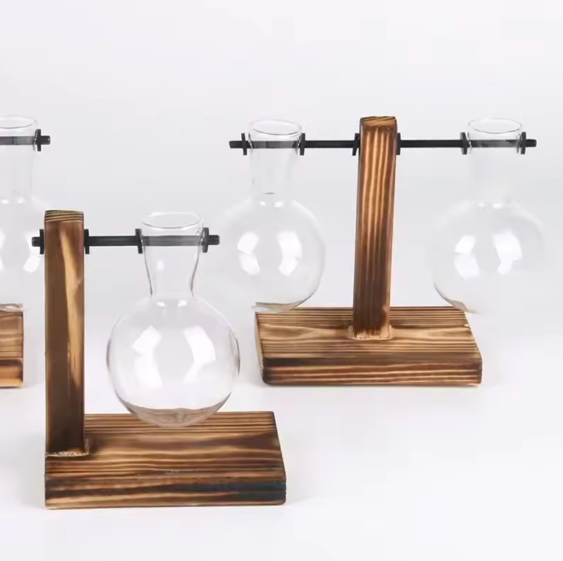 Hydrokultur Pflanze Terrarium Vase Dekoration Tischdeko Pflanzentopf