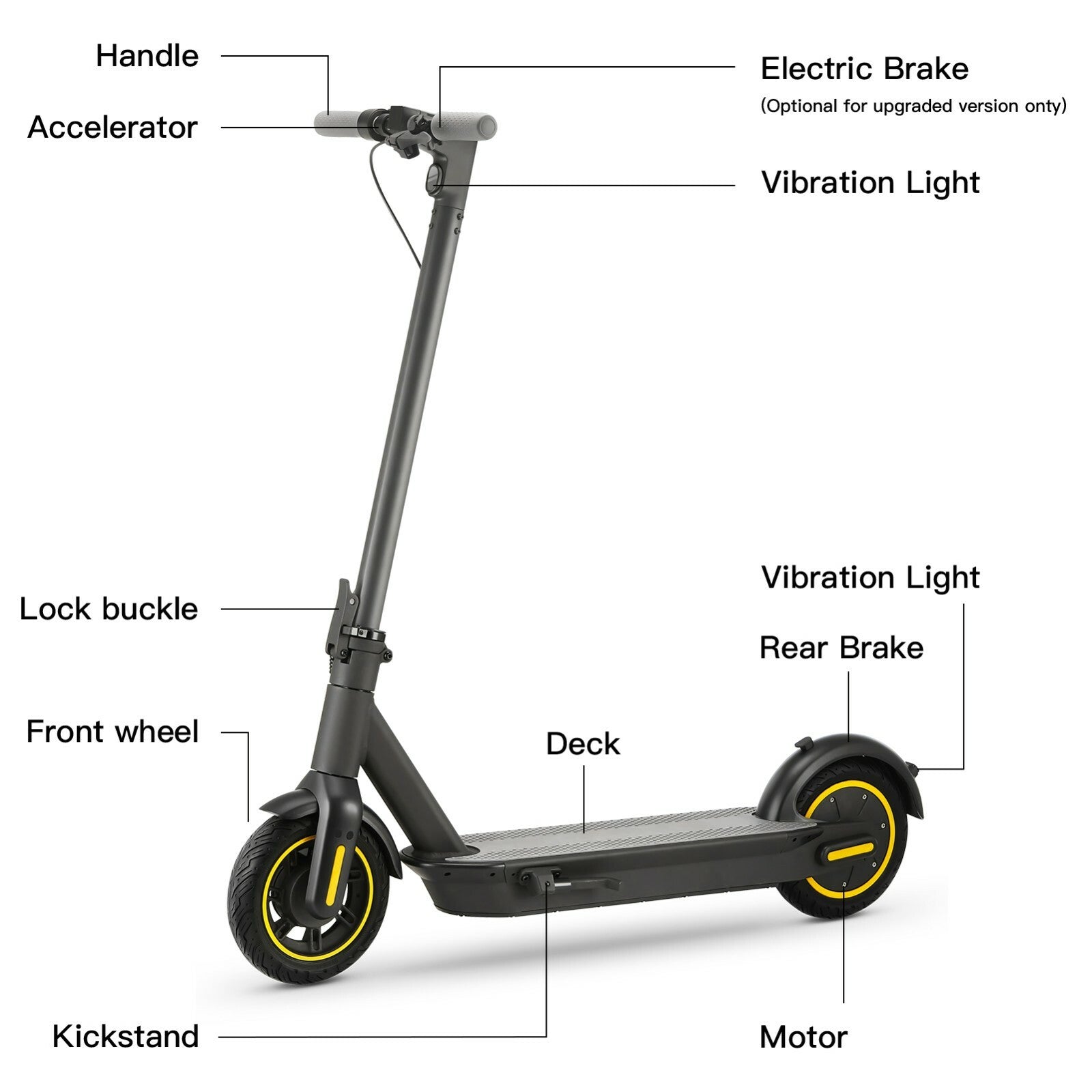 E-Scooter Elektroroller Faltbar Escooter Elektro Roller 10 Zoll Scooter MAX G30