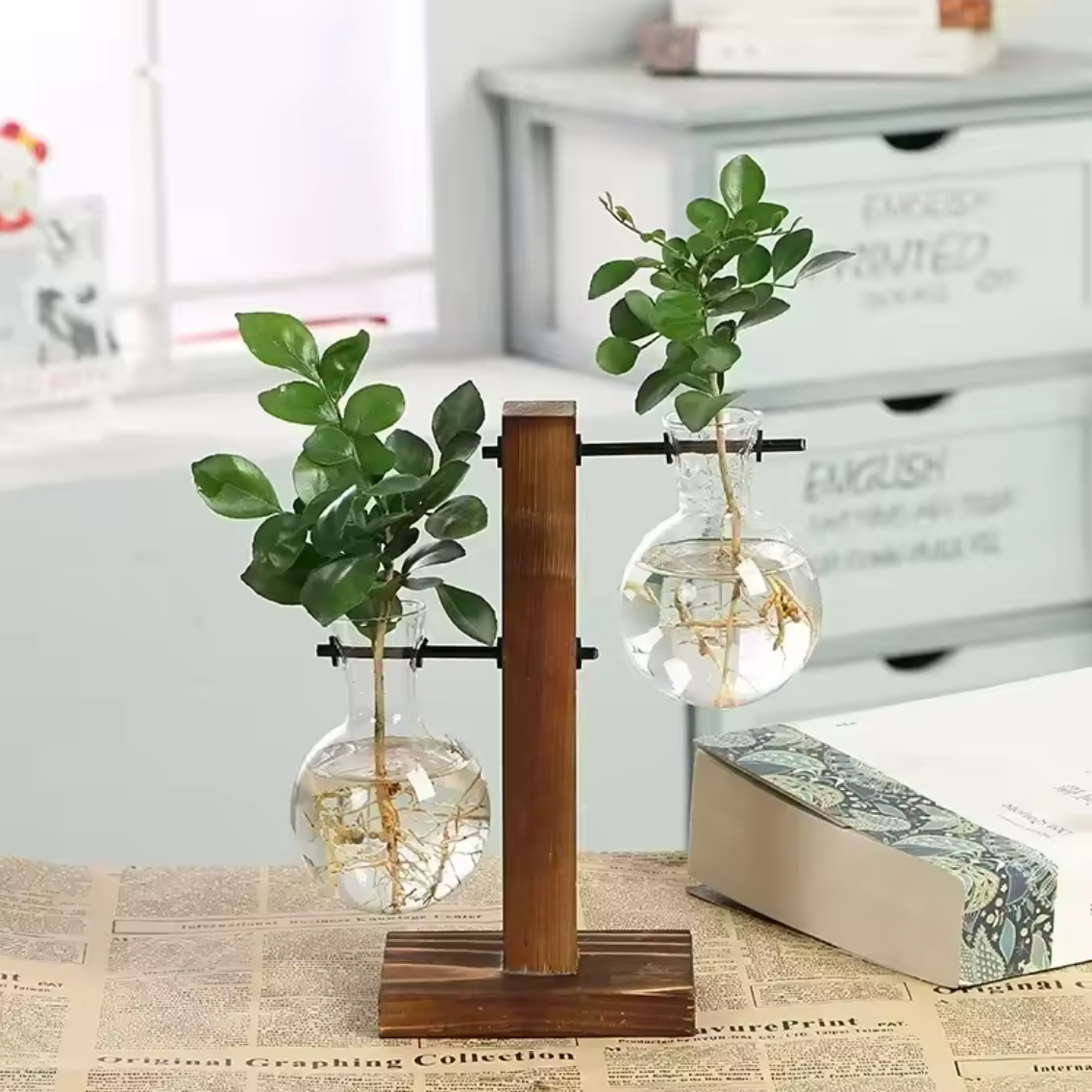 Hydrokultur Pflanze Terrarium Vase Dekoration Tischdeko Pflanzentopf