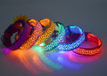 Hundehalsband 5 Größen S-M-L-XL LED Leuchthalsband für Hunde 8 Farben Halsband