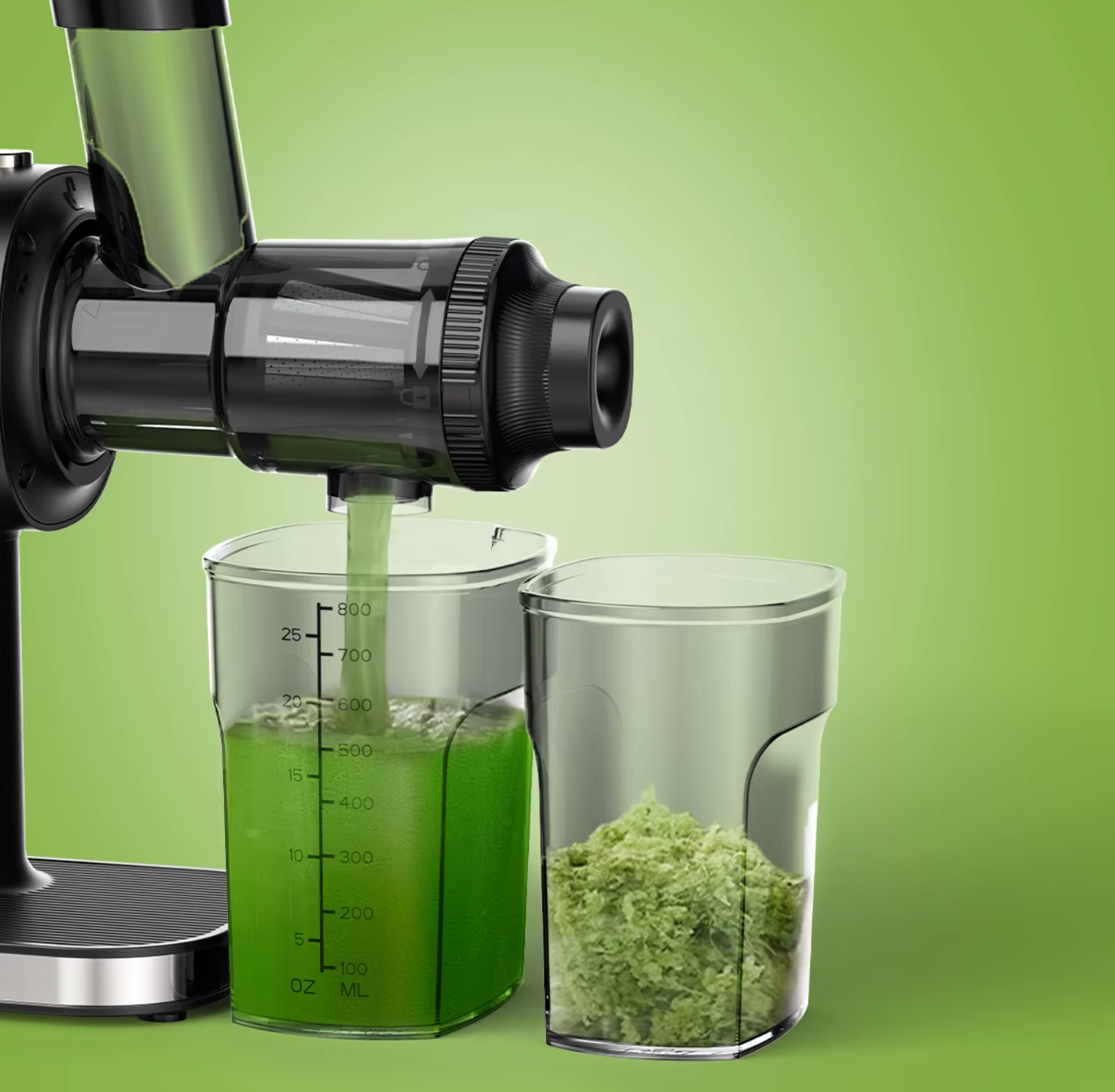 Entsafter Slow Juicer Kaltentsafter Kaltpress-Entsafter BPA-Frei BioloMix